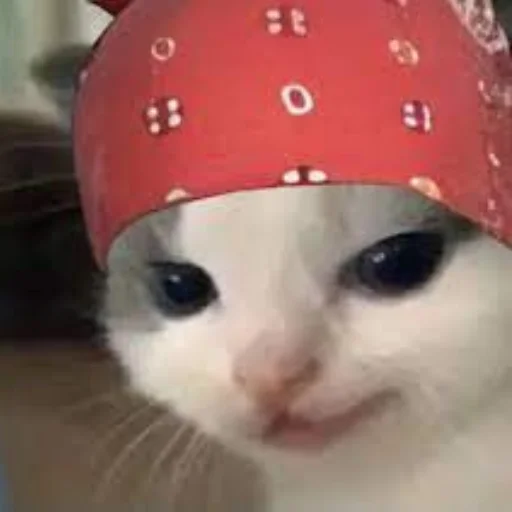 Sticker IsItHehe - 1