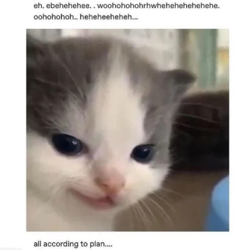 Стикер IsItHehe - 1