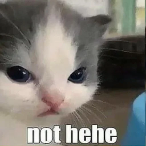 Sticker IsItHehe - 1