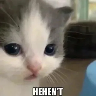 Стикер Hehe? - 1