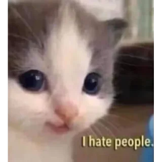 Стикер Hehe? - 3