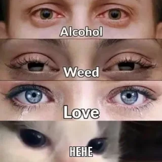 Стикер Hehe? - 7