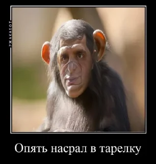 Sticker Прокурорские будни - 2