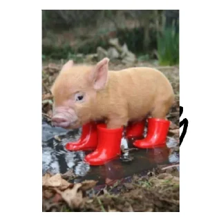 Sticker Ишаааа3 @svinoubezishe - 11