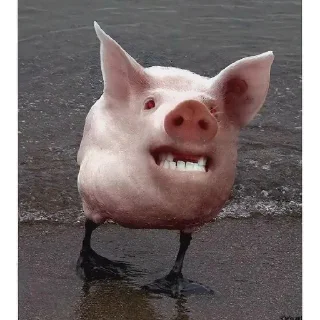 Sticker Ишаааа3 @svinoubezishe - 5