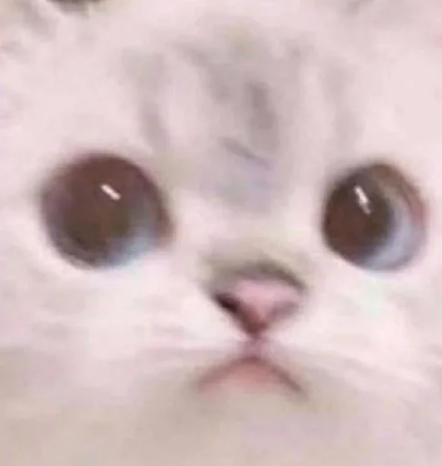 Sticker Isisjsjjsjs_by_fStikBot - 1