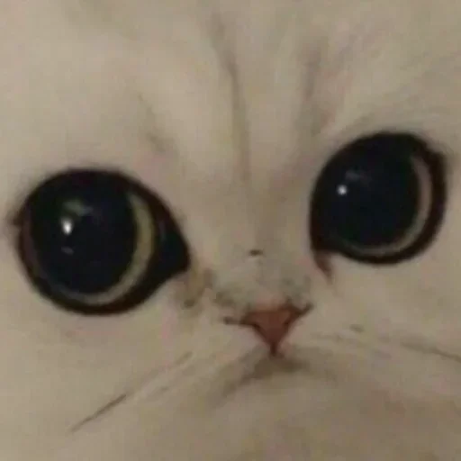 Стикер Isisjsjjsjs_by_fStikBot - 1