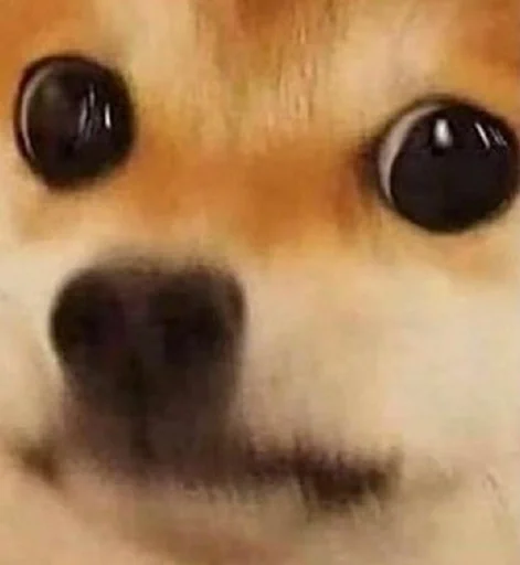 Sticker Стики шоки :: @fStikBot - 6