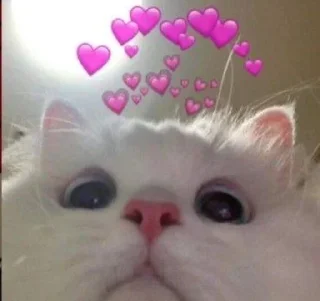 Sticker ISKRA CIRCUS - 8