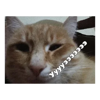 Стикер Ислам пон - 1