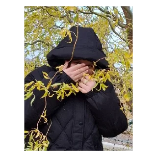 Стикер Школя - 5