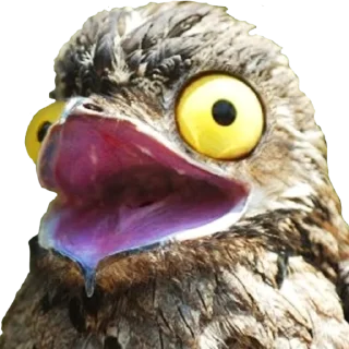 Sticker Козодой @gnilyebaby - 1