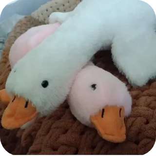 Sticker Исулькаа - 4