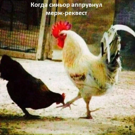 Стикер It4_by_e4zybot - 1