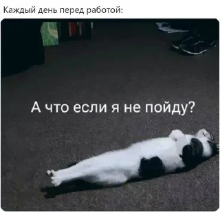 Sticker IT 4 | @ll1k4 - 3