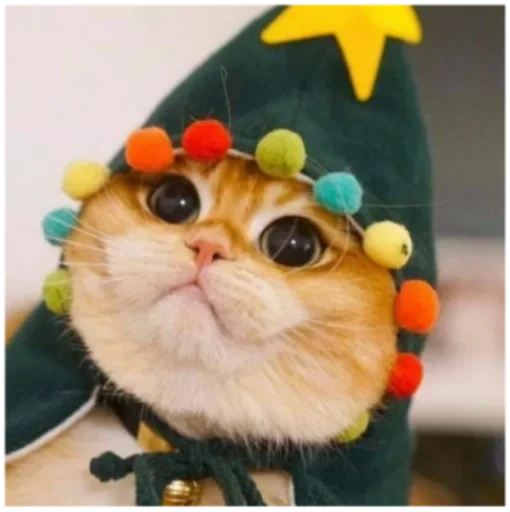 @Itachi_Uchiha_kz by @fStikBot - 