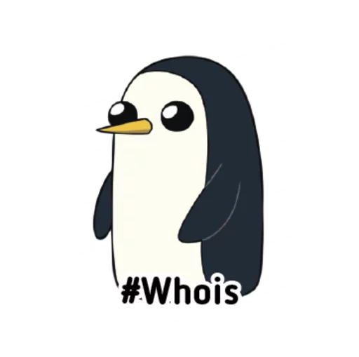 beak penguin aquatic bird