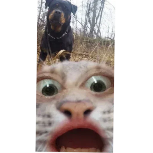 Sticker ItsMeee13 - 1