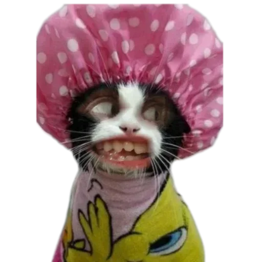 Стикер ItsMeee13 - 1