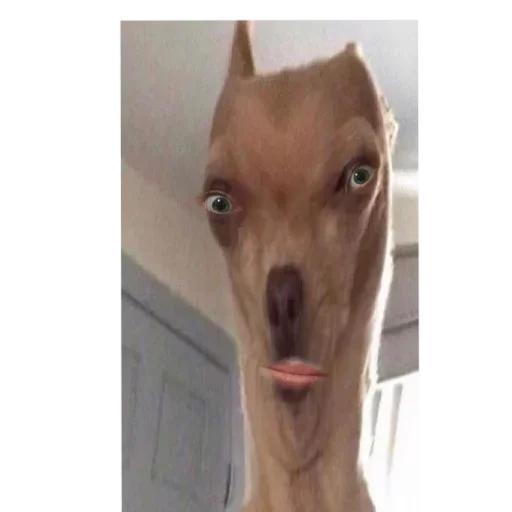 Стикер ItsMeee13 - 1