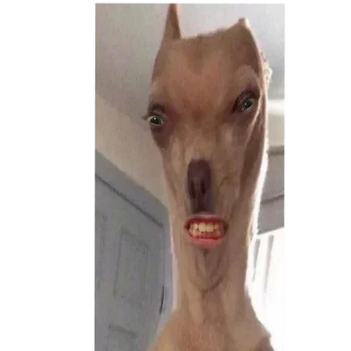 Стикер ItsMeee13 - 1