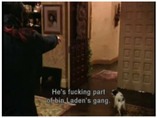 СМС Человек комнатный