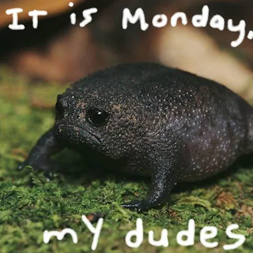 Sticker ItsWednesdayMyFriends - 1