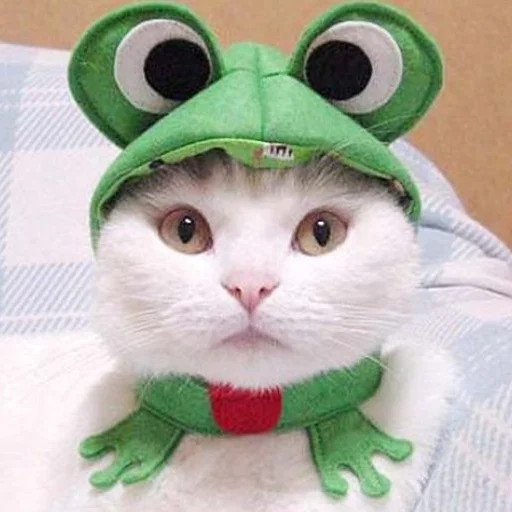 Sticker ItsWednesdayMyFriends - 1