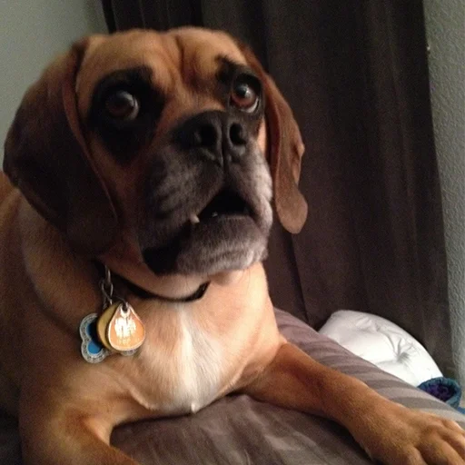 Sticker ItsWednesdayMyFriends - 1