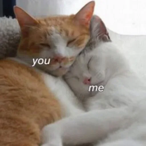 Стикер ItsWednesdayMyFriends - 1