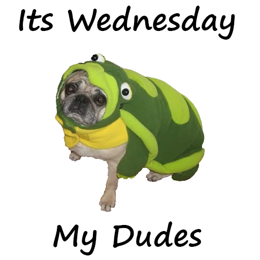 Уткогорлонос - 