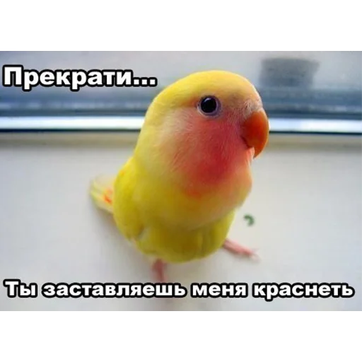 Sticker ItsWednesdayMyFriends - 1