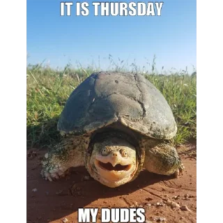 Sticker Уткогорлонос - 7