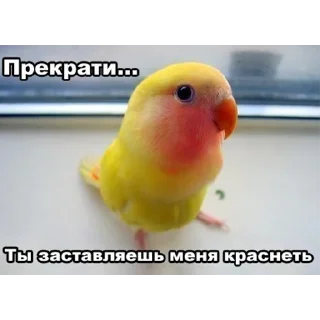 Sticker Уткогорлонос - 4