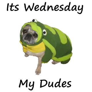 Sticker Уткогорлонос - 8