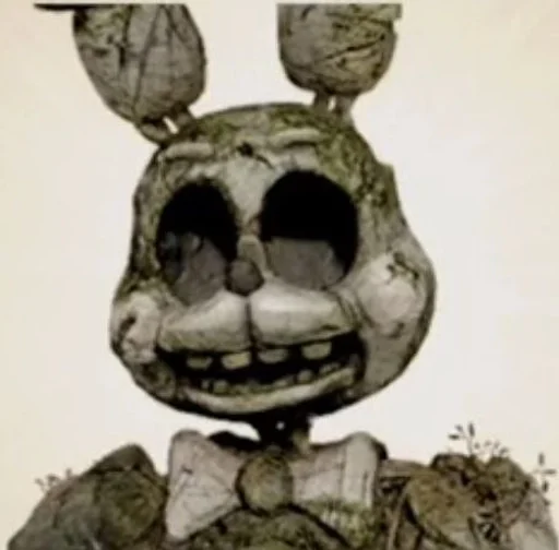 drawing skull sketch