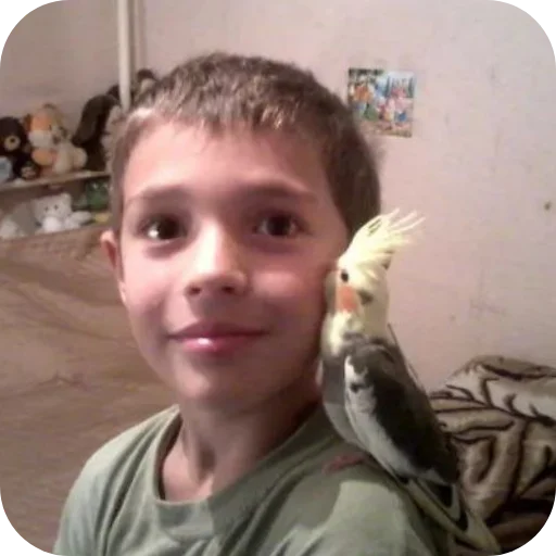 Sticker Ivan3981 - 1