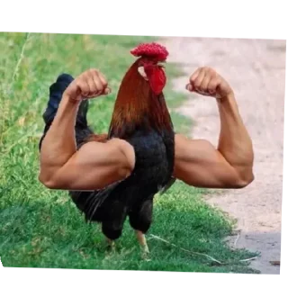 Sticker Иван стикерпак - 11