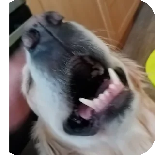 Sticker Иван стикерпак - 10