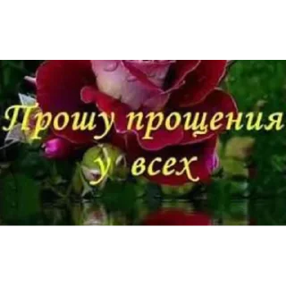 Sticker Для ВП - 10