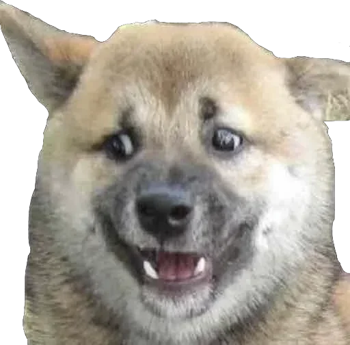 Sticker Ivnm_kekis - 1