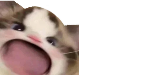 Стикер Ivnm_kekis - 1