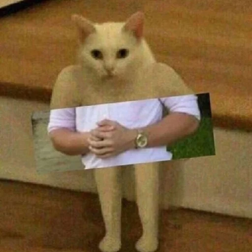 Sticker I would like to suck Some cock - 10