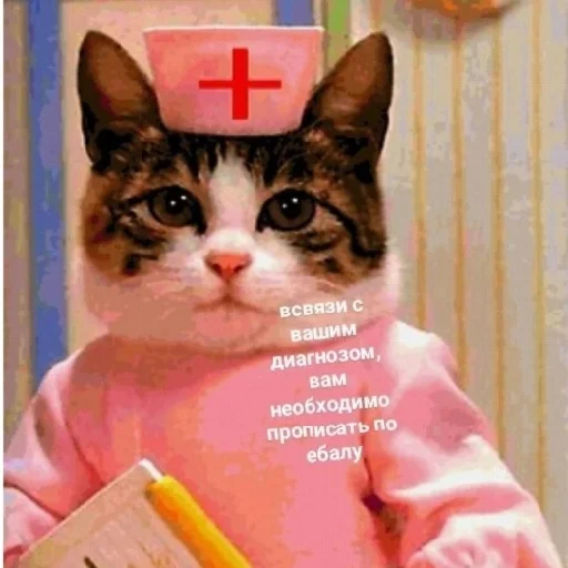 Sticker I would like to suck Some cock - 5