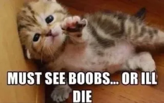 Стикер Больше стикеров тут: @allstickers_tg - 4