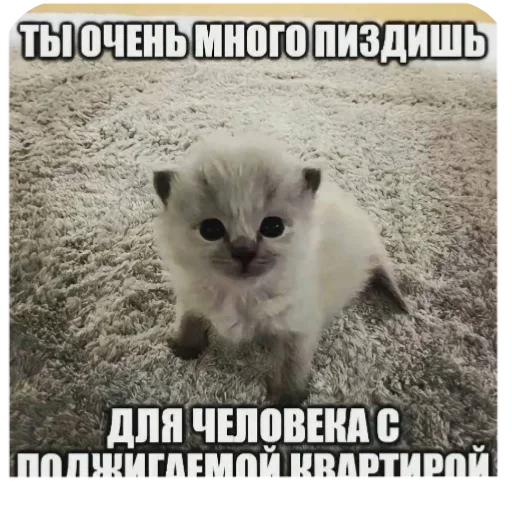 Из_гой_да @beerbottleconcert - 