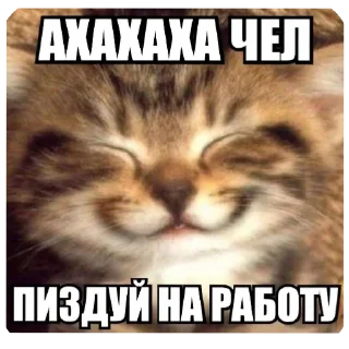 Sticker Из_гой_да @beerbottleconcert - 4