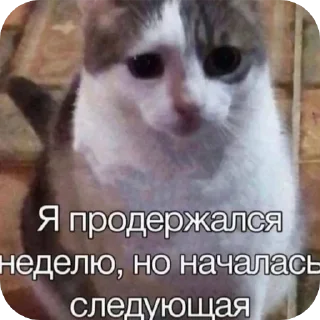 Sticker Из_гой_да @beerbottleconcert - 2