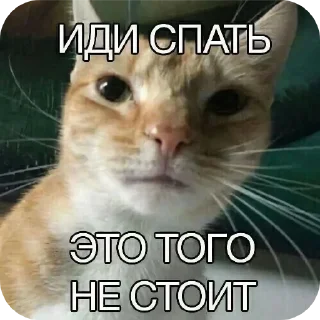 Sticker Из_гой_да @beerbottleconcert - 11