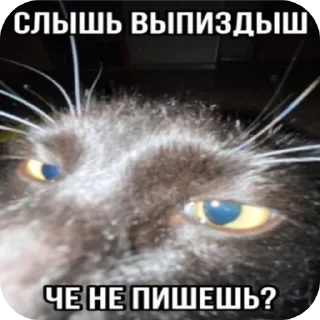 Sticker Из_гой_да @beerbottleconcert - 3